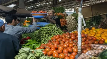 استقرار أسعار الخضروات والفاكهة في سوق العبور يعزز استقرار السوق ويخفض مخاوف المستهلكين الجمعة 21 نوفمبر 2025